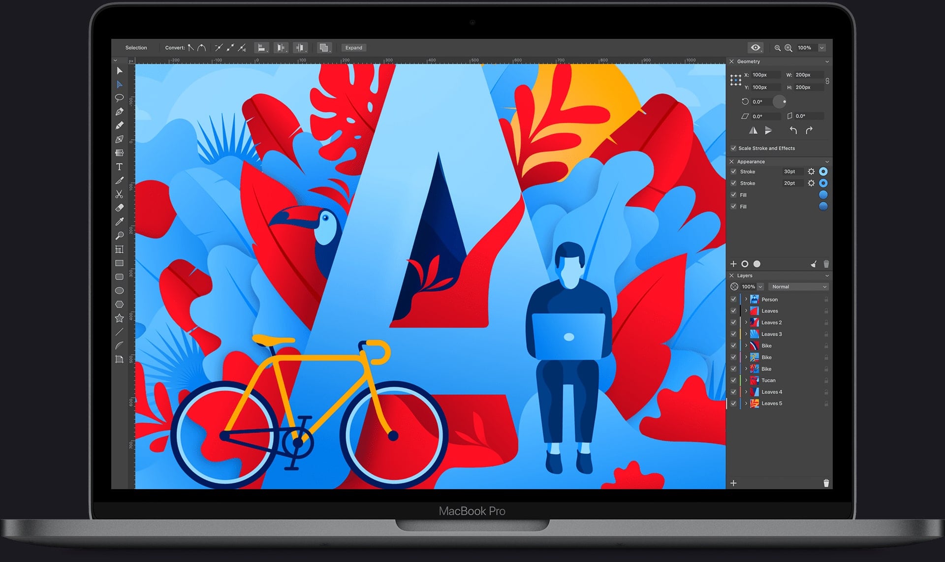 Amadine For Mac v1.6.5 Best Vector Graphic Design App for iOS and MacOS X Amadine For Mac free download